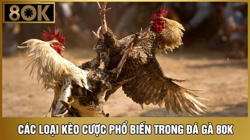 các loại kèo cược đá gà 8OK 