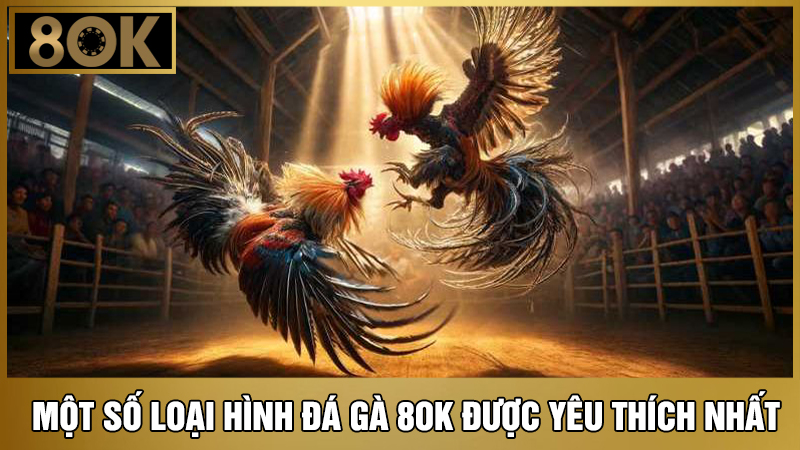 Một số loại hình đá gà 8OK 
