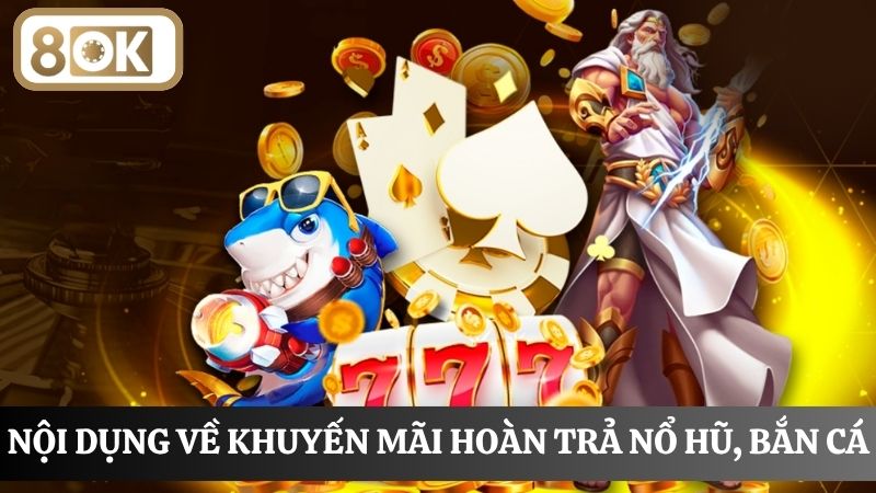 điều lệ hoàn trả nổ hũ, bắn cá
